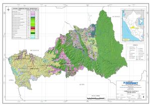 Mapa 1 - Cobertura Vegetal Pasco