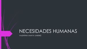 Necesidades Humanas Vale