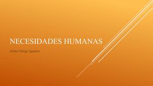 Necesidades Humanas Julian Ortega