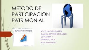 Metodo De Participacion Patrimonial