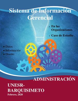 Sistema De Informacion Gerencial