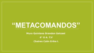 Metacomandos