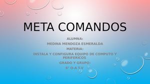 Meta Comandos