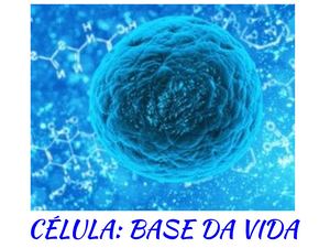 2 A Base Celular Da Vida Ppt