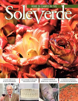 Soleverde gennaio-febbraio 2020