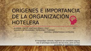 Orígenes E Importancia De La Organización Hotelera