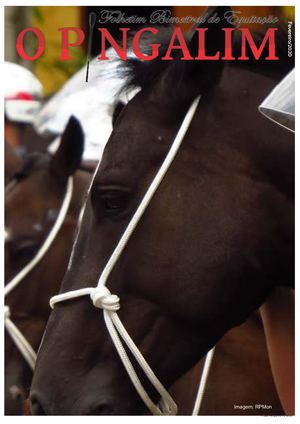 Pingalim Fevereiro 2020