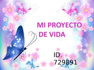 Mi Proyecto De Vida