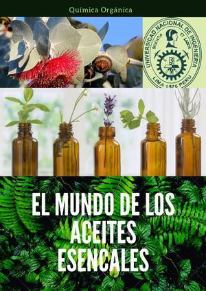 Aceites Esenciales De Eucalipto (3)