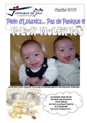 Bulletin Jumeaux Et Plus Sarthe N°29