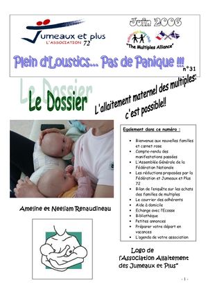 Bulletin Jumeaux Et Plus Sarthe N°31