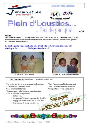 Bulletin Jumeaux Et Plus Sarthe N°36