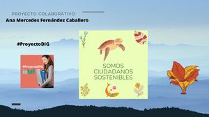 Proyecto Colaborativo (1)
