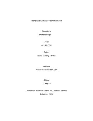 Cuadro Comparativo De Morfofisiologia