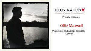 Ollie Maxwell Watercolor And Animal Illustrator , London