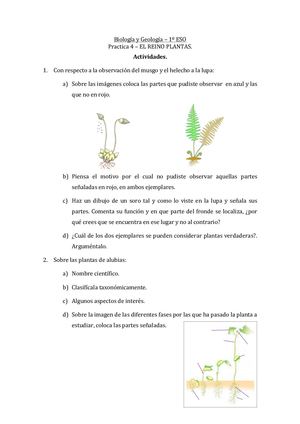 Actividades Practica T10
