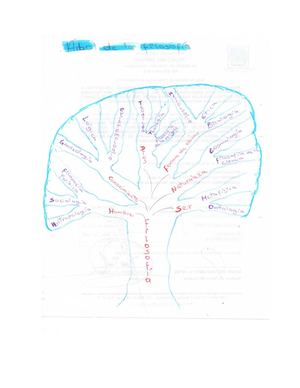 Arbol De La Filosofia