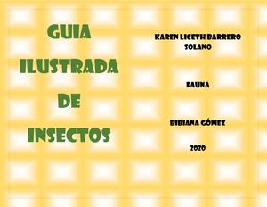 Guia Ilustrada De Insectos