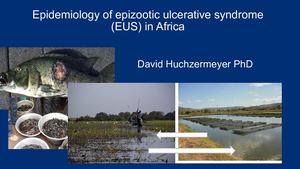 D. Huchzermeyer - Epidemiology of Epizootic Ulcerative Syndrome (EUS) in Africa