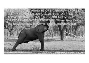 M. Kock - History of Chemical Immobilization Emphasis on Local, but also Continental and Global