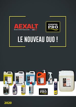 Flyer Essentiel Pro 2020