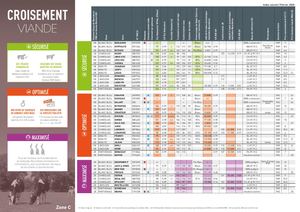 Croisement Viande Zone C 03 2020