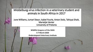 J. WIlliams - Middelburg Virus Infection in a Veterinary Student and Animals in South Africa in 2017