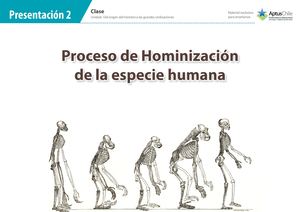 Hominidos Clase