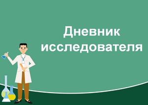 Контрольная закупка шоколада. Дневник исследователя