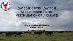 H. Hansen - Low Dose Opioid-medetomidine Immobilization in Antelope
