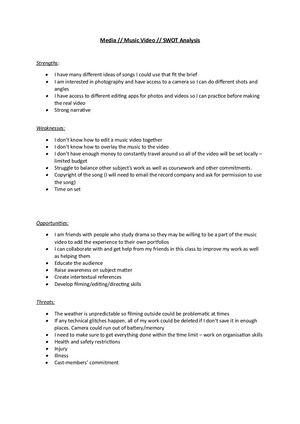 Music Video Swot Analysis