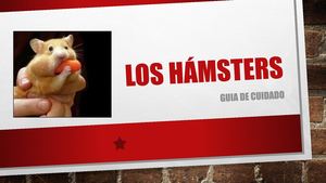 Los Hámsters