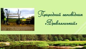 Древлянський заповідник