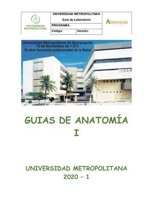 Guías De Anatomia I Laboratorio