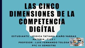 DIMENSIONES DE LA COMPETENCIA DIGITAL