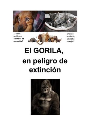 El gorila, una especie en extinción
