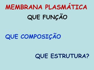 Memb Estr Função Ppt