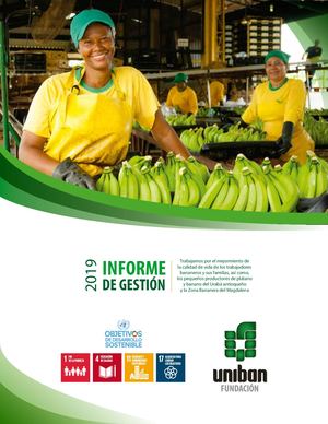 Informe de gestión 2019