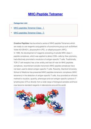Mhc Peptide Tetramer