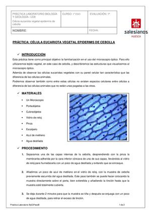 Ecosistema de la Taiga