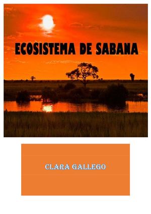 Ecosistema sabana