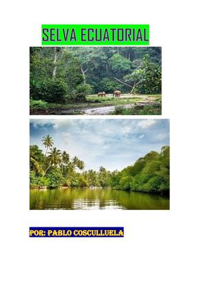 Ecosistema de la selva ecuatorial