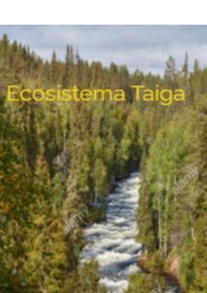 Ecosistema Taiga