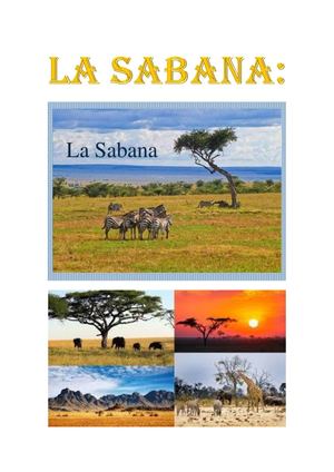 Biologia Sabana