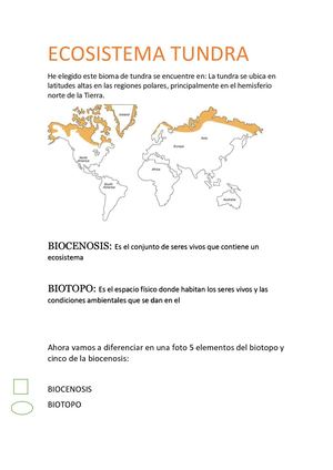 Ecosistema Tundra Biologia