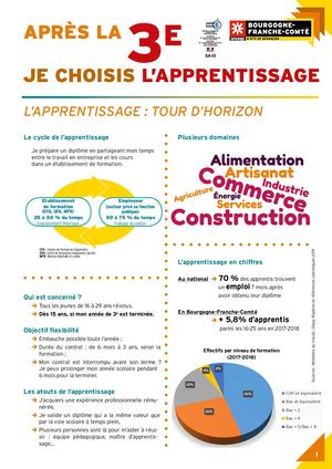 Choisir L'apprentissage Après La 3e, 2020