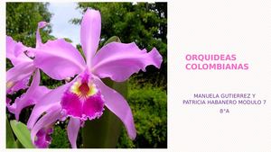 Orquideas Colombianas