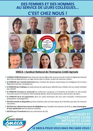 Alsace Vosges Vos éLus 28 02 2020