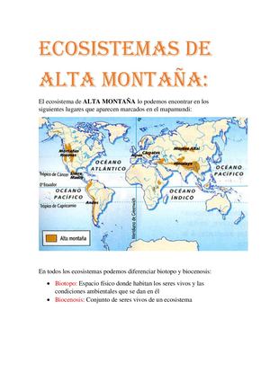 Alta Montaña