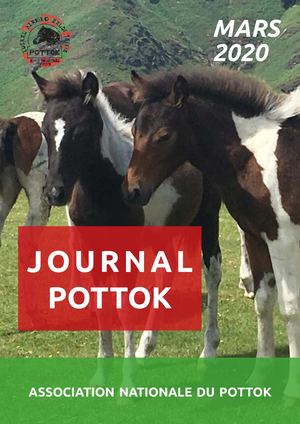 Journal Pottok 2020